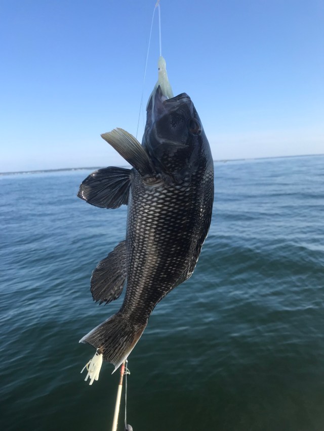 a8QZfSwBTP6I+y%iWACDOg