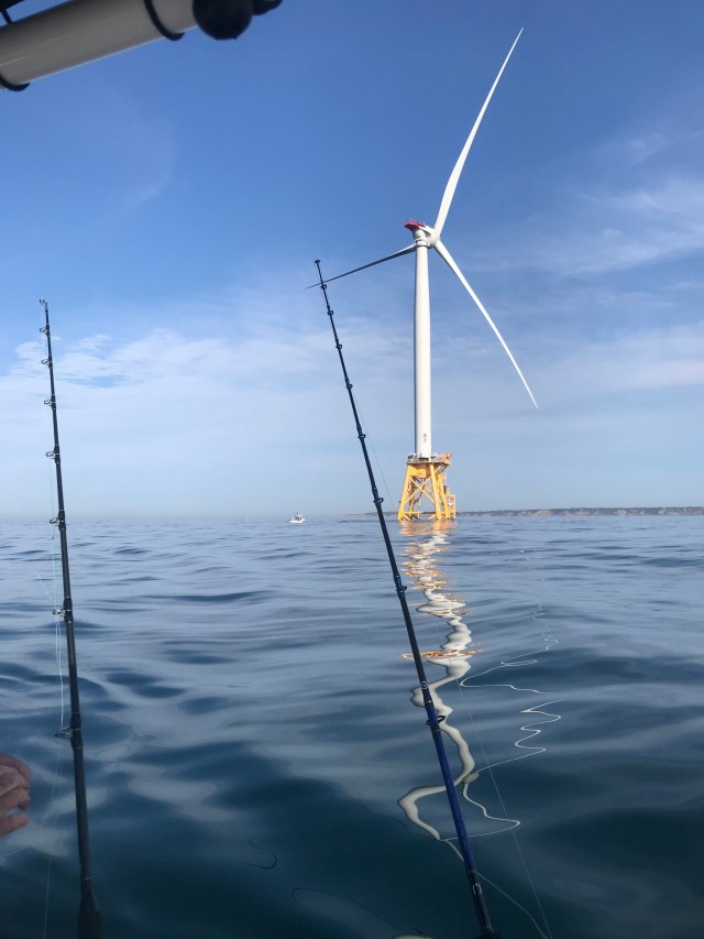 FGtQInTLTaKf8b0uSEntHg