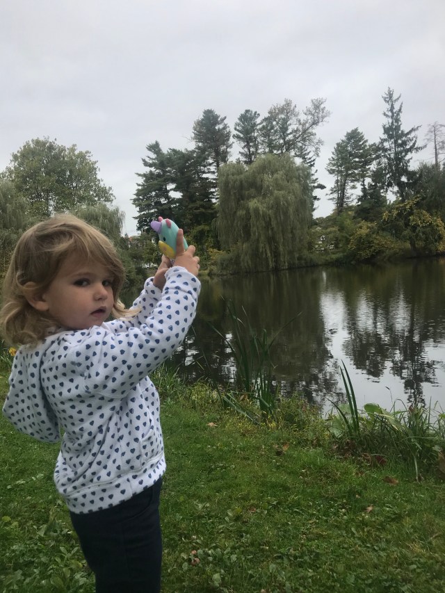 eyGPbWKUTtit11cR9VpkQw