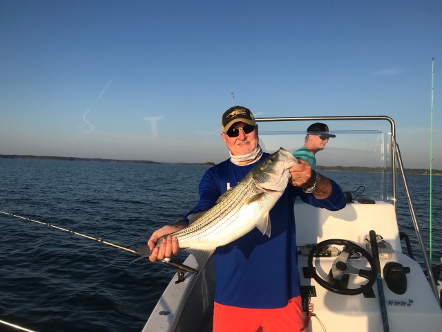 PNlkdMKwTheElBjAikfdvg